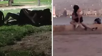 Rezillik diz boyu! İzmir'deki cinsel ilişki görüntülerinin bir benzeri de Kocaeli'de çekildi