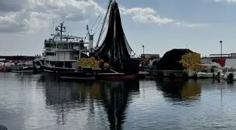 Karadenizli balıkçılar Marmara Denizi'nde av sezonuna başlıyor