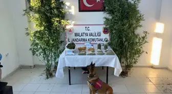 Malatya'da uyuşturucu operasyonunda 1 şüpheli gözaltına alındı