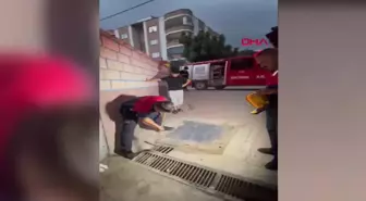 Osmaniye'de Yağmur Suyu Mazgalına Düşen Yavru Kediler Kurtarıldı