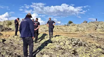 Bolu'da kayıp olarak aranan yabancı uyruklu kişi ormanda ölü bulundu