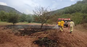 Bilecik'te Orman Yangını Kontrol Altına Alındı