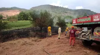 Bilecik'te Orman Yangını Kısa Sürede Söndürüldü