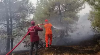 Kahramanmaraş'ta 15 Hektar Orman Yandı