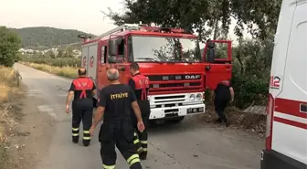 Yalova'yı karıştıran olay! 'Uçak düştü' denildi, gerçek bambaşka çıktı