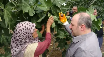 Tarım Bakanlığı, uzun vadeli destek sistemini duyurdu