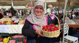 Sakarya'da Çilek Festivali Gerçekleştirildi