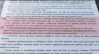 ÇAYKUR, organik çay üreticilerinin tepkisine rağmen kota sınırlamasını artırdı