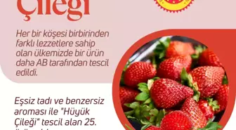 Hüyük Çileği Türkiye'nin AB'den 25. tescilli ürünü oldu