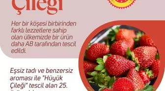 Hüyük Çileği AB'den Coğrafi İşaret Tescili Aldı