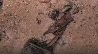 Robot denizaltılar, Titanik'in enkazında gizemli bir kayıp heykel ve tırabzan keşfetti