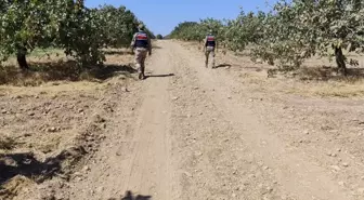 Şanlıurfa'da Antep fıstığı çalan 6 şüpheli yakalandı