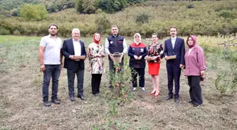 Düzce Valisi Selçuk Aslan, Aronya Hasadına Katıldı