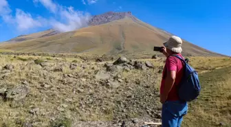 Ağrı Dağı'ndaki Bitki Türleri Araştırılıyor