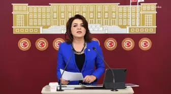 CHP Milletvekili Gülcan Kış: Türkiye'de Ekonomik Kriz Esnafı Vurdu