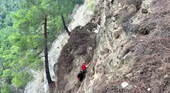 Isparta'da mahsur kalan keçiler kurtarıldı