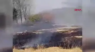 Elazığ'da Otluk Alanında Çıkan Yangın Kontrol Altına Alındı