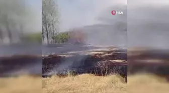 Elazığ'da otluk alanda yangın