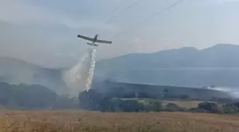 Erdek'te çıkan ot yangını kontrol altına alındı