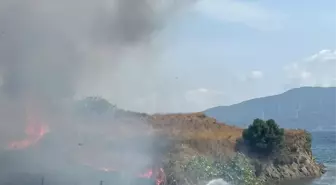 Erdek'te çıkan yangın itfaiye ve vatandaşlar tarafından söndürüldü