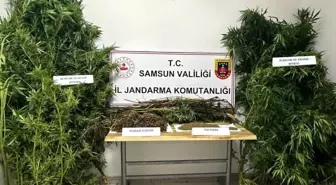 Samsun'da Uyuşturucu Operasyonu: 2 Kişi Gözaltına Alındı