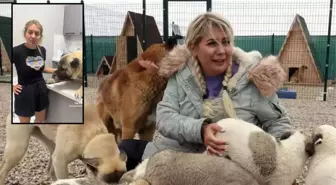 'Köpek Velisi' hüngür hüngür ağladı! 'Eğer ölürsem bunun sorumlusu sizsiniz' dedi