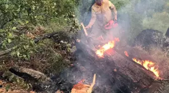 Muğla'da Yıldırım Yangınları Artıyor