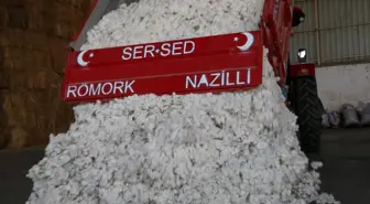 Nazilli'de pamuk sezonu açıldı