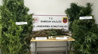 Samsun'da uyuşturucu operasyonu: 2 şüpheli gözaltına alındı