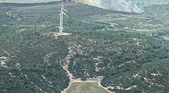 İzmir Urla'da Ormanlık Alanda Yangın Çıktı