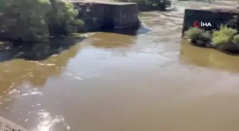 Karasu Nehrindeki kirlilik tedirgin ediyor