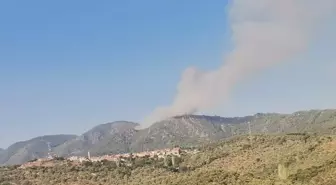 Muğla'nın Milas ilçesinde orman yangını çıktı