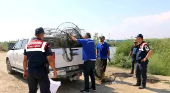 Adana'da kıyı kanununa uymayan balık yakalama kafesi ve tuzaklar ele geçirildi