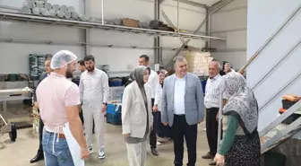 AK Parti Milletvekili Lütfiye Selva Çam, Çubuk'ta Kadın Girişimcilerle Buluştu