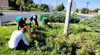 Kayseri Büyükşehir Belediyesi Üniversite Öğrencilerine Rehberlik ve Danışmanlık Hizmeti Sunuyor