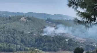 Adana'da Ormanlık Alanda Çıkan Yangın Kontrol Altına Alındı