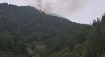 Feke'de yıldırım düşmesi sonucu çıkan orman yangını kontrol altına alındı