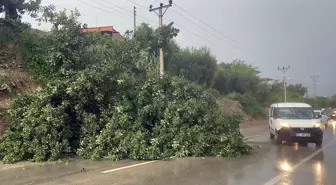 Adana ve Osmaniye'de fırtına ve sağanak etkili oldu