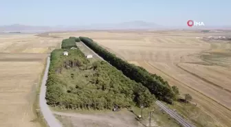 Bozkırın ortasındaki 'vahada' Eylül güzelliği