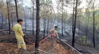 Bursa-Kütahya-Balıkesir Sınırlarında Orman Yangını Kontrol Altına Alındı