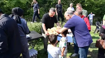 Sinop'ta Koruyucu Aile Çocukları için Doğa Yürüyüşü ve Piknik Etkinliği Düzenlendi