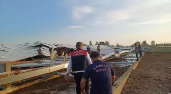 Osmaniye'de Fırtına ve Sağanak: Ağaçlar Devrildi, Yollarda Su Birikintileri Oluştu