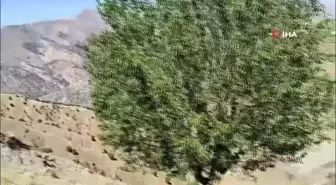 3 bin rakımda öğrencilerin okul heyecanına ortak oldular