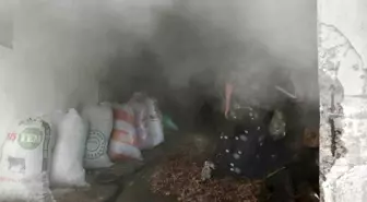 Zonguldak'ın Alaplı ilçesinde ahır yangını