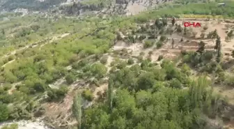 Çağlayancerit Cevizinin Hasadı Başladı