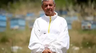 Kırklareli Arısı Islah Projesi ile Bal Verimi Arttırılıyor