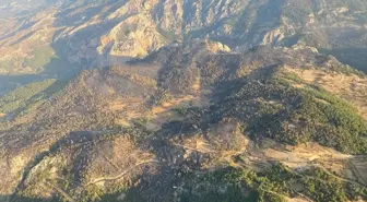 Muğla'da çıkan yangında 250 hektar orman ve ziraat alanı zarar gördü