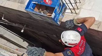 Şanlıurfa'da İtfaiye Ekipleri 2 Kedi Yavrusunu Kurtardı