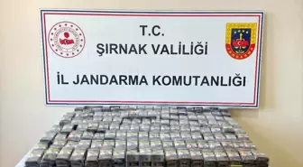 Şırnak'ta Kaçakçılık Operasyonunda 26 Kişi Gözaltına Alındı