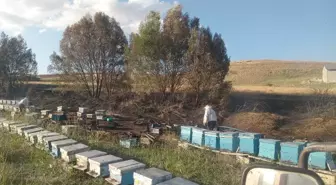 Sivas'ta çıkan anız yangınında 40 arı kovanı zarar gördü, arıcı yanık yaralandı